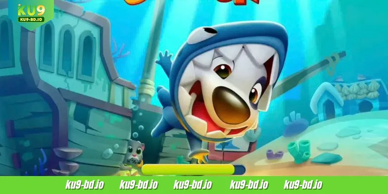 Many different types of fish