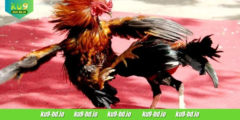 Some types of bets you should know about